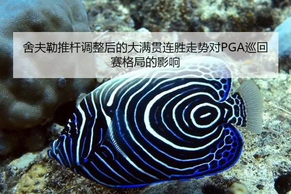 she-fu-lei-tui-gan-tiao-zheng-hou-de-da-man-guan-lian-sheng-zou-shi-dui-xun-hui-sai-ge-ju-de-ying-xiang-3-294.jpg