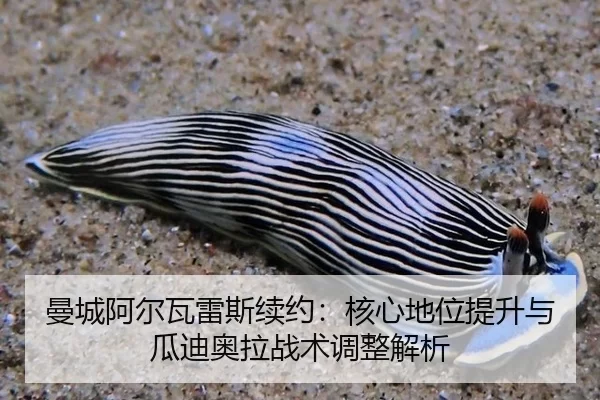 man-cheng-a-er-wa-lei-si-xu-yue-he-xin-di-wei-ti-sheng-yu-gua-di-ao-la-zhan-shu-tiao-zheng-jie-xi-3-422.jpg