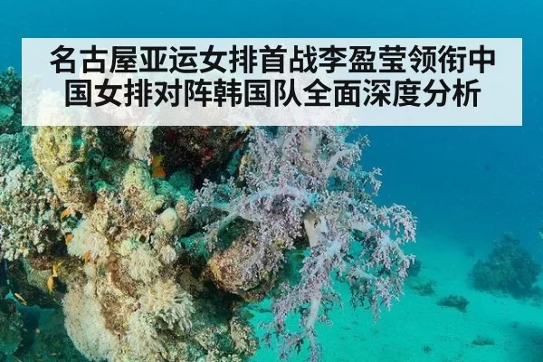名古屋亚运女排首战李盈莹领衔中国女排对阵韩国队全面深度分析